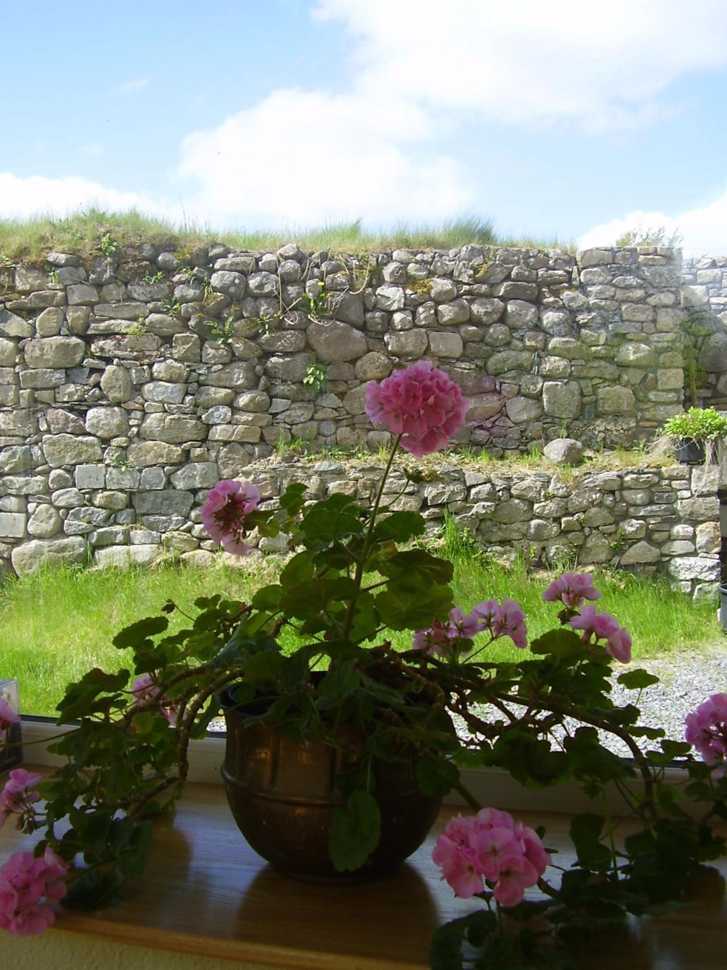 Glenboy Country Accommodation Oldcastle Exterior foto