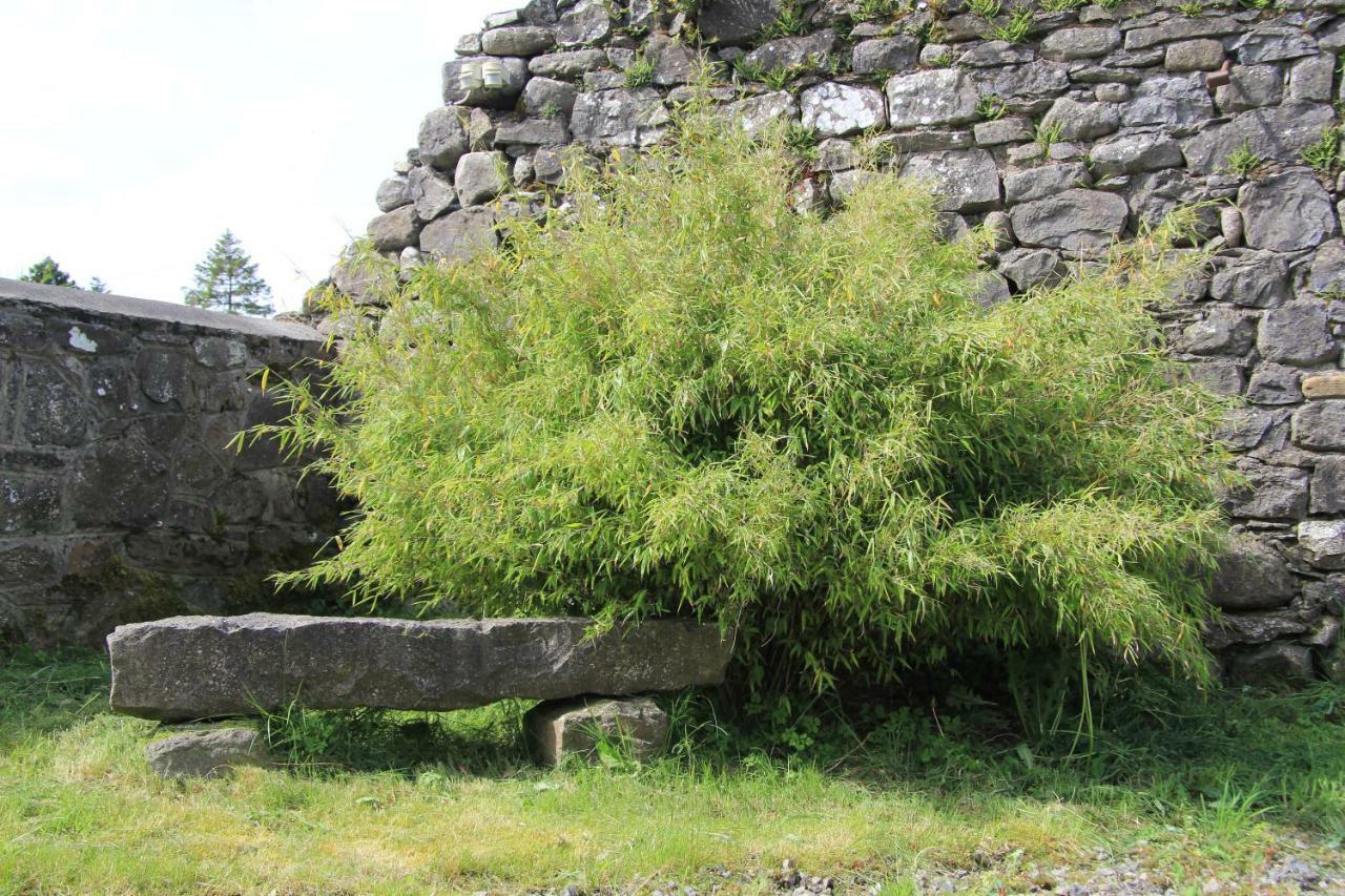 Glenboy Country Accommodation Oldcastle Exterior foto